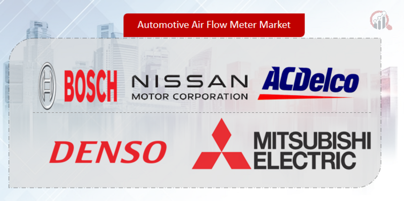 Automotive Air Flow Meter Key Company