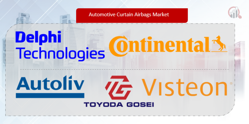 Automotive Curtain Airbags Key Company