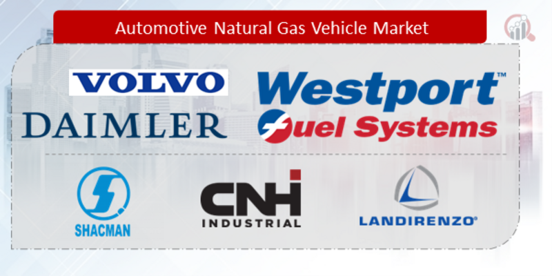Automotive Natural Gas Vehicle 