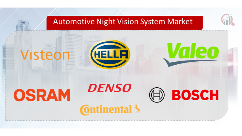 Automotive Night Vision System Key Company