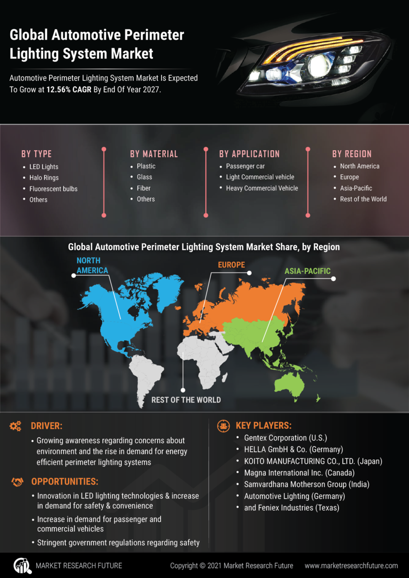 Automotive Perimeter Lighting System Market