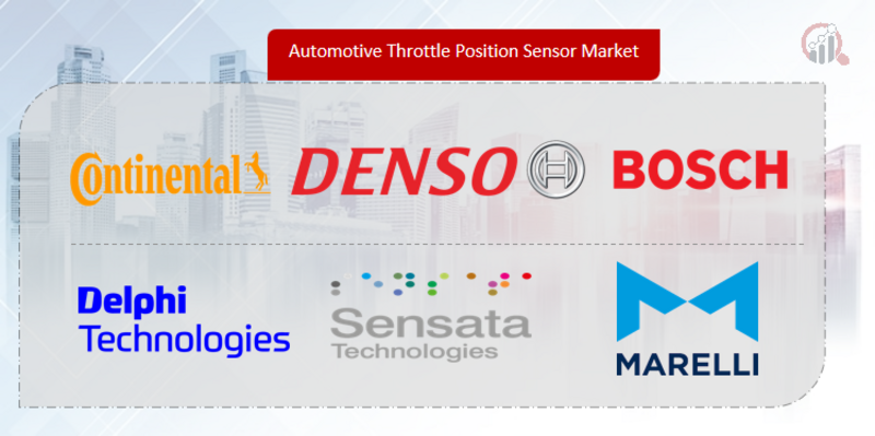 Automotive Throttle Position Sensor Key Company