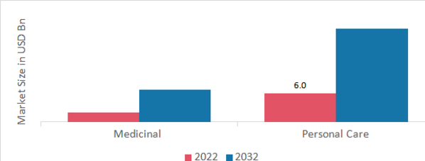 Ayurveda Market, by Application, 2022 & 2032