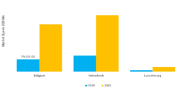 Benelux Smart Transformers Market Country Insights