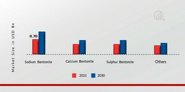 Bentonite Market, by product