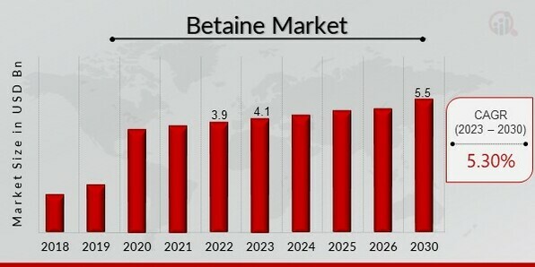 Betaine Market Overview