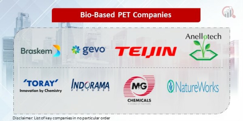 Bio-Based PET Key Companies