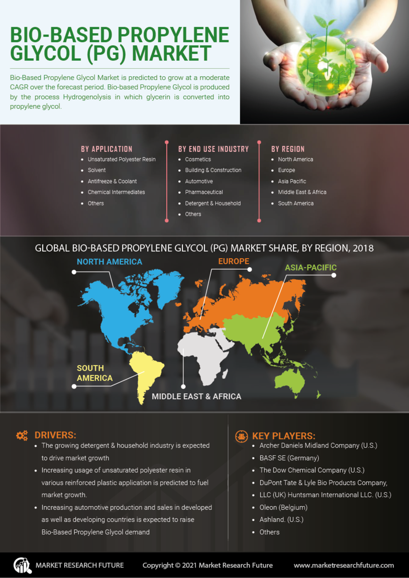 Bio-Based Propylene Glycol Market Size, Share, Growth | Report, 2030