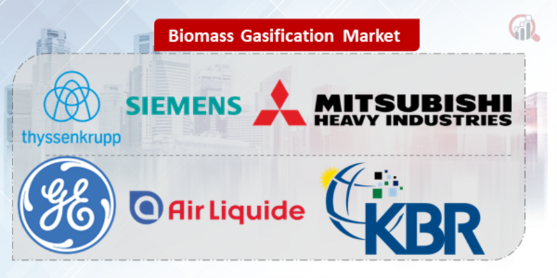 Biomass Gasification Key Company