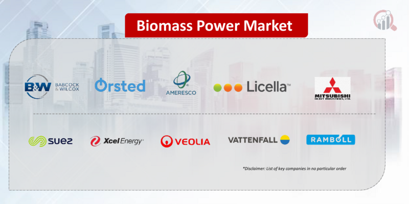 Biomass Power Key Company