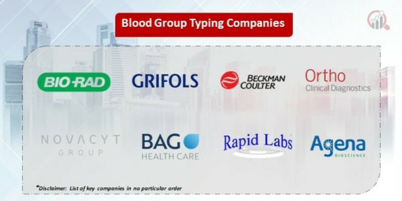 Blood Group Typing Market 