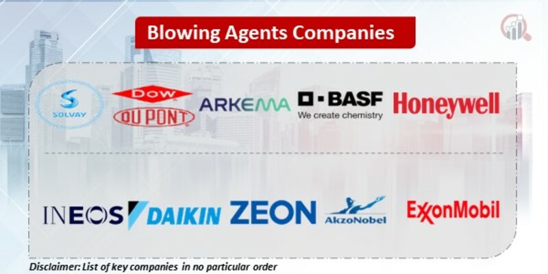 Blowing Agents Key Companies