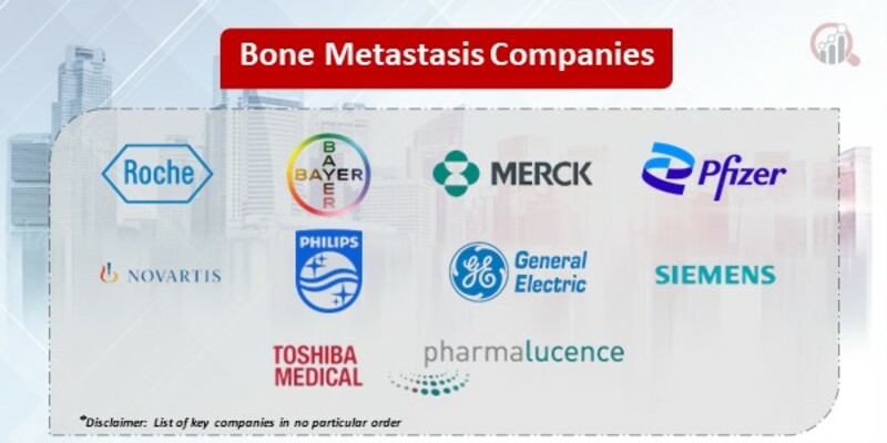 Bone Metastasis Market 