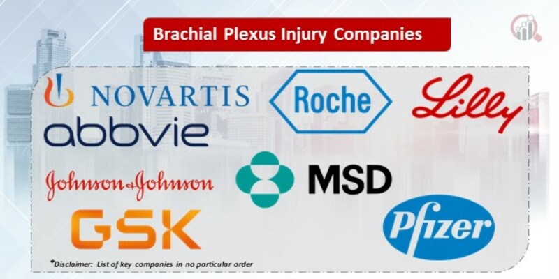 Brachial Plexus Injury Key Companies