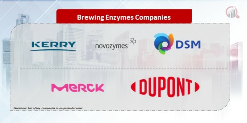 Brewing Enzymes Companies