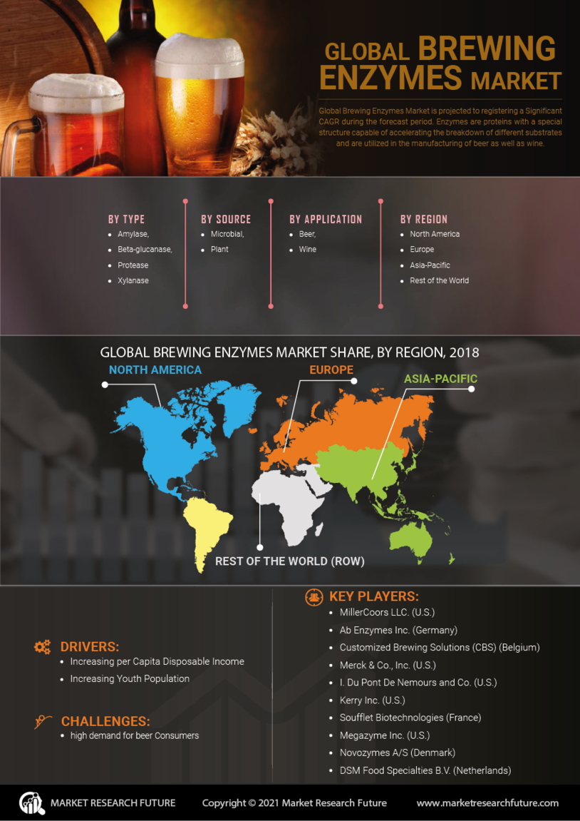 Brewing Enzymes Market