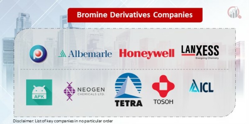 Bromine Derivatives Key Companies