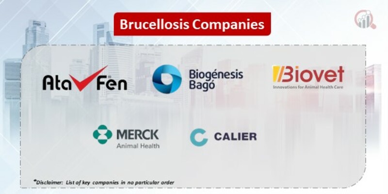 Brucellosis Key Companies