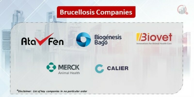 Brucellosis Key Companies