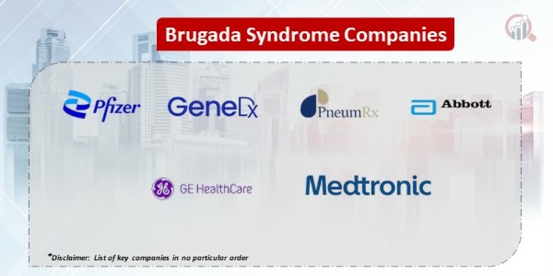 Brugada Syndrome Key Companies