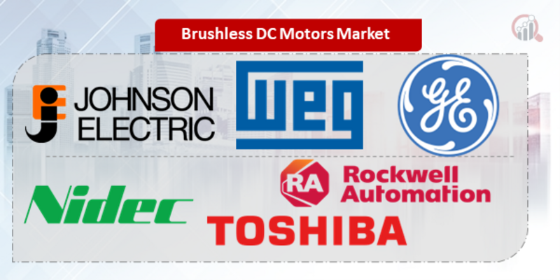 Brushless DC Motors Key Company