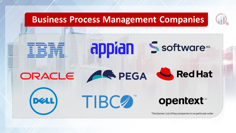 Business Process Management Compnaies