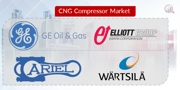 CNG Compressor Key Company