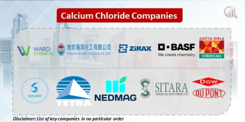 Calcium Chloride Key Companies