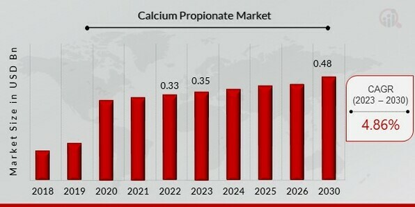 Calcium Propionate Market Overview