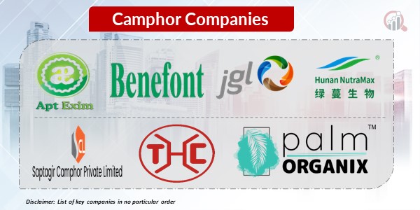 Camphor Key Companies