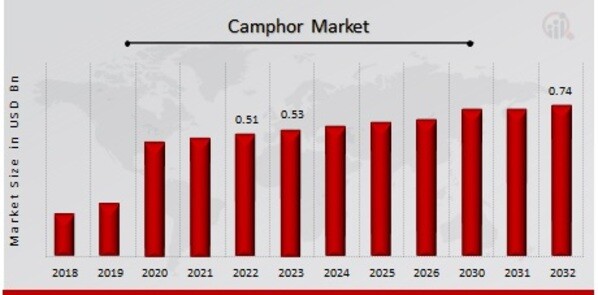 Camphor Market Overview