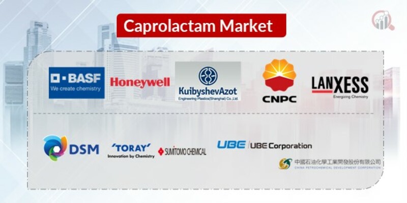Caprolactam Key Companies