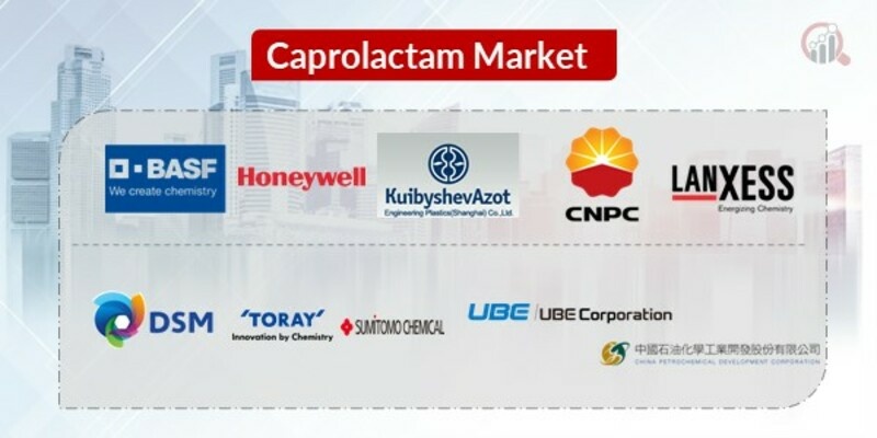 Caprolactam Key Companies