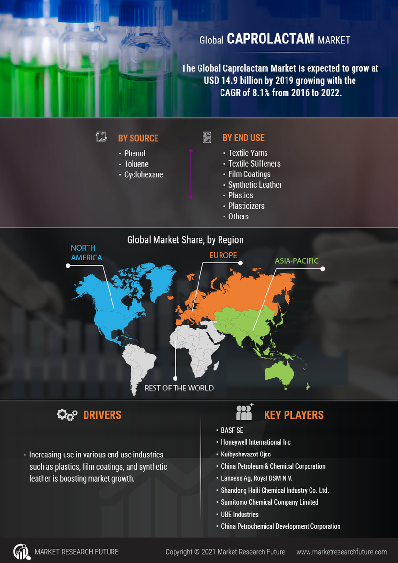 Caprolactam Market