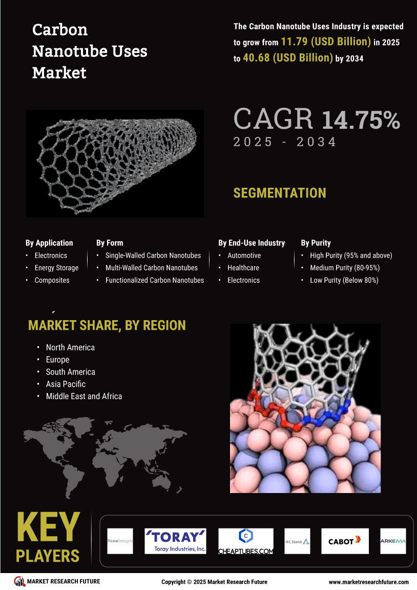 Carbon Nanotube Uses Market