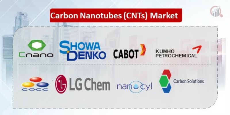 Carbon Nanotubes Key Companies 