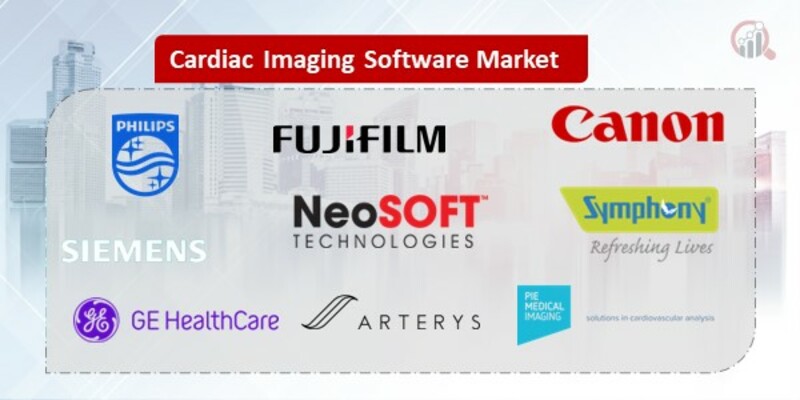 Cardiac Imaging Software Key Companies