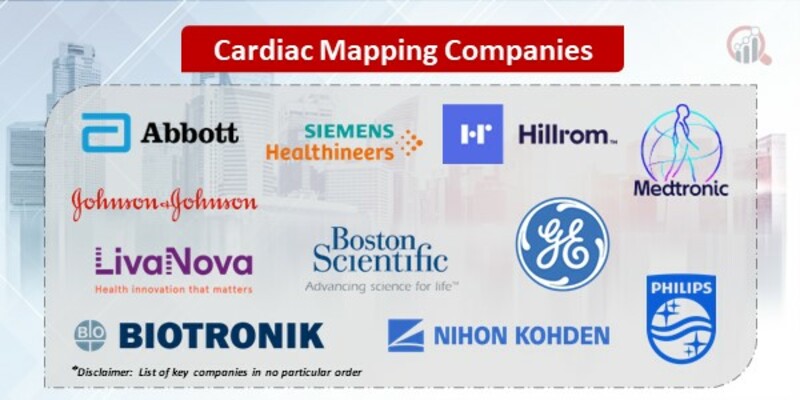 Cardiac Mapping Key Companies