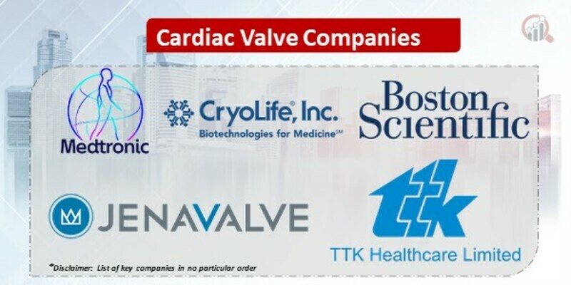 Cardiac Valve Key Companies