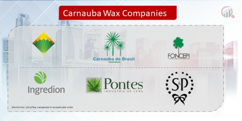 Carnauba Wax Company
