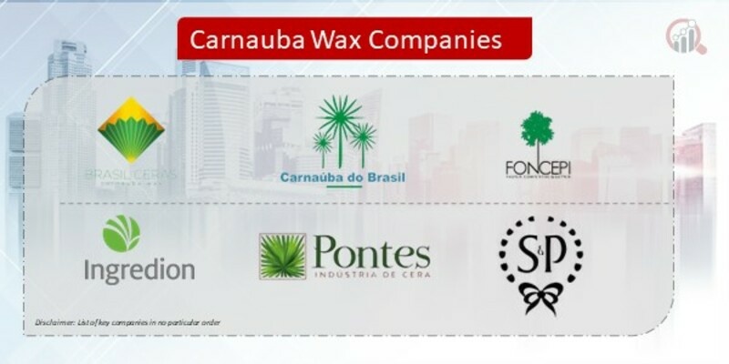 Carnauba Wax Company