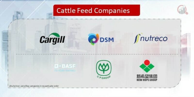 Cattle Feed Company