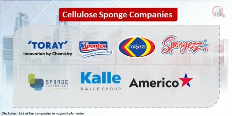 Cellulose Sponge Key Companies