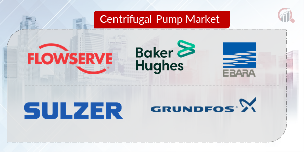 Centrifugal Pump Key Company
