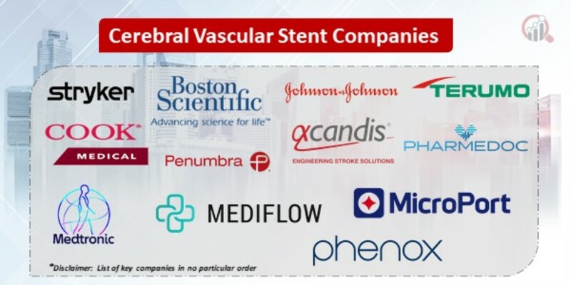 Cerebral Vascular Stent Key Companies