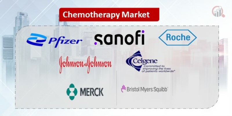 Chemotherapy Key Companies