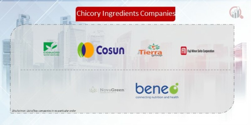 Chicory Ingredients Companies