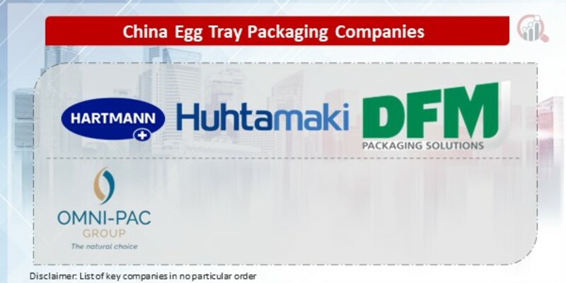 China Egg Tray Packaging Key Companies