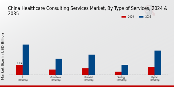 China Healthcare Consulting Services Market Segment