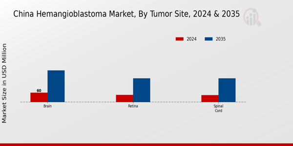 China Hemangioblastoma Market Segment